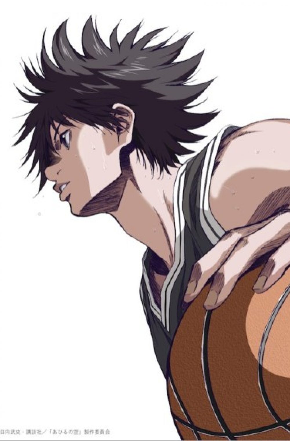 Ahiru no Sora