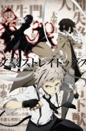 Bungou Stray Dogs