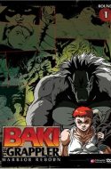 Grappler Baki (2001)