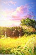 Hakubo ( Twilight )