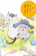 With a Dog AND a Cat, Every Day is Fun