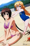 Sekirei (UNCENSORED) + OVA