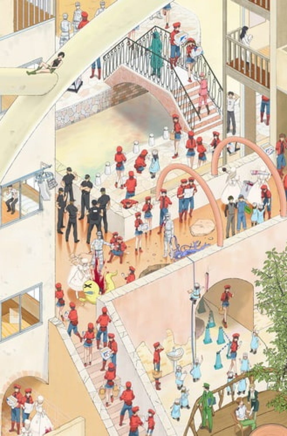 Hataraku Saibou + OVA